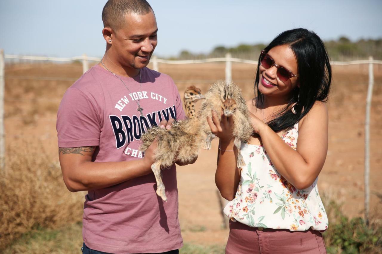 De Opstal Country Lodge Oudtshoorn Esterno foto